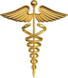 www.elmsurgery.ie website